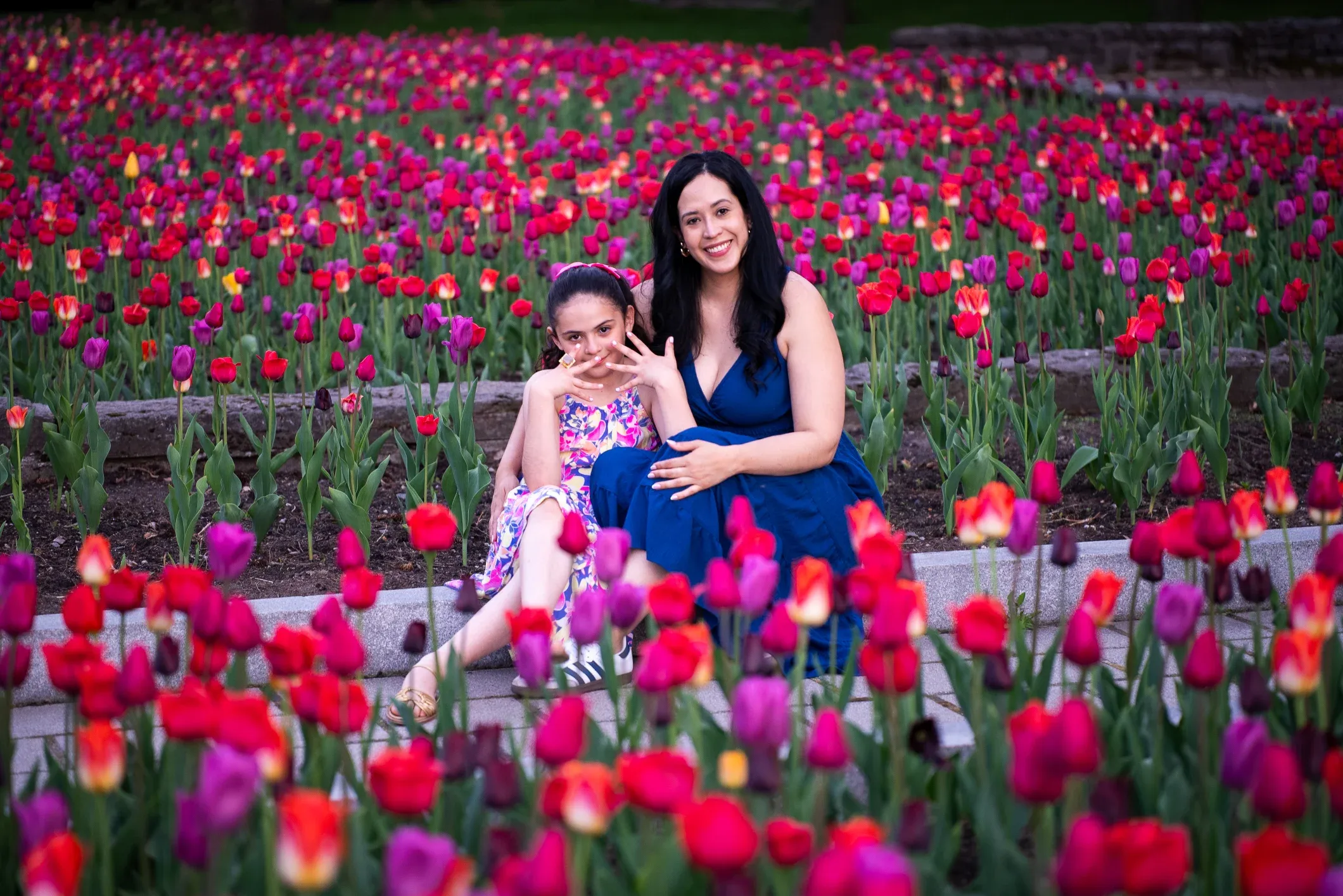 Tulips in Montreal: When the Botanical Garden Shifts Rhythm